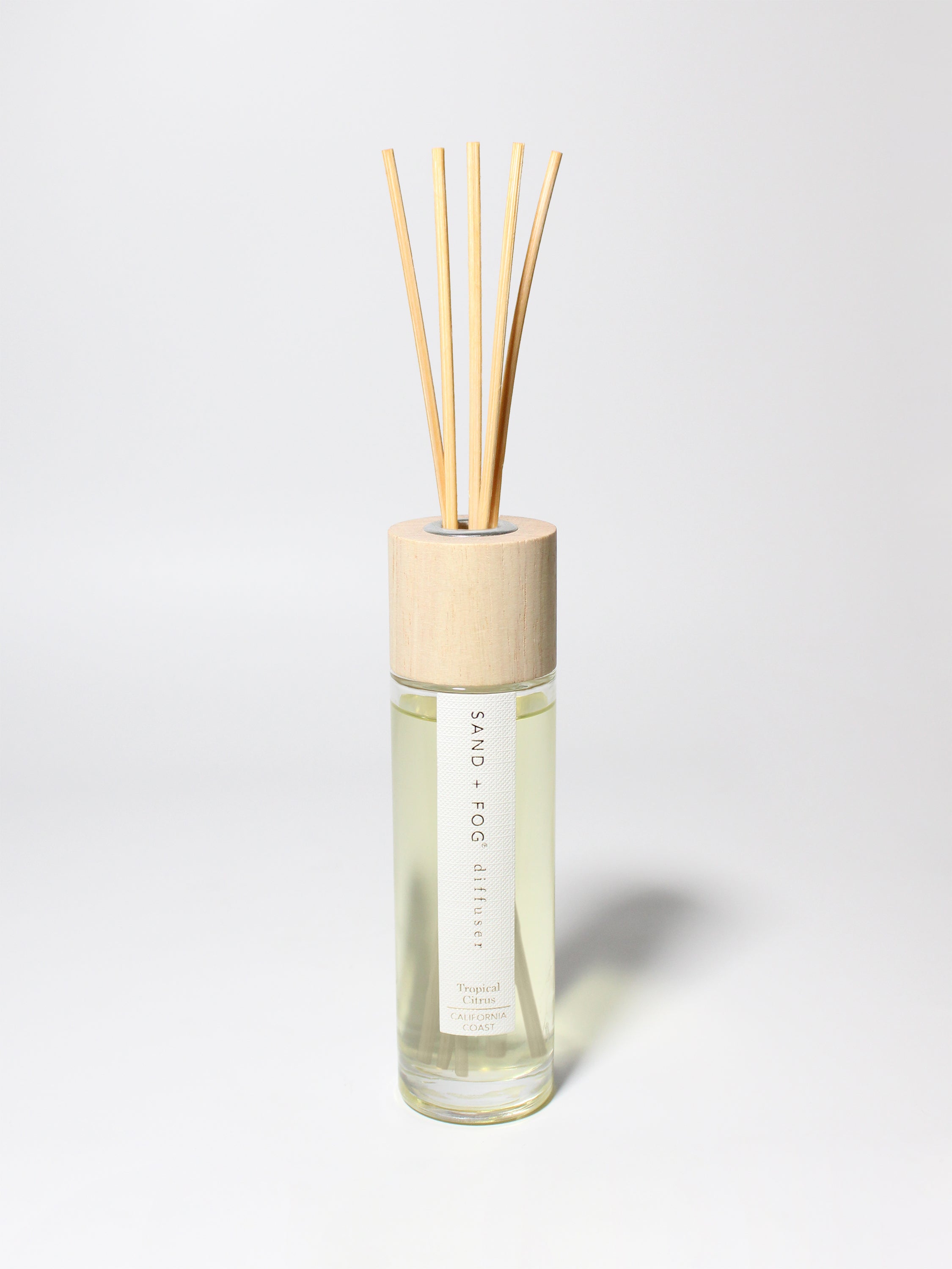 Tropical Citrus 100 ml Reed Diffuser | Shop Sand + Fog