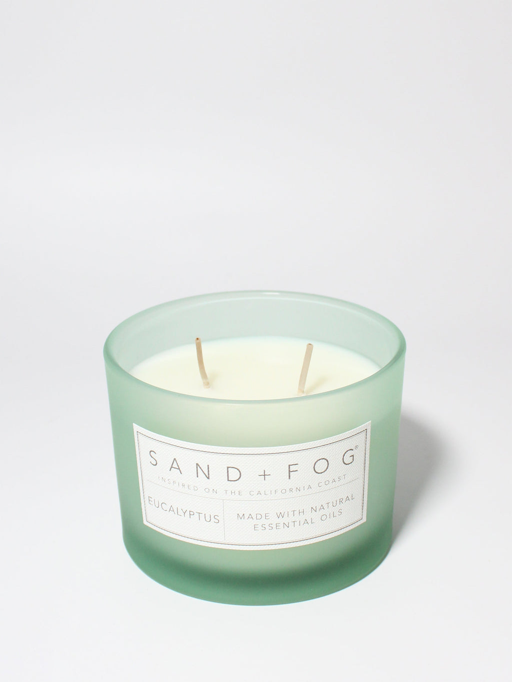 Eucalyptus 12 oz scented candle | Shop Sand + Fog