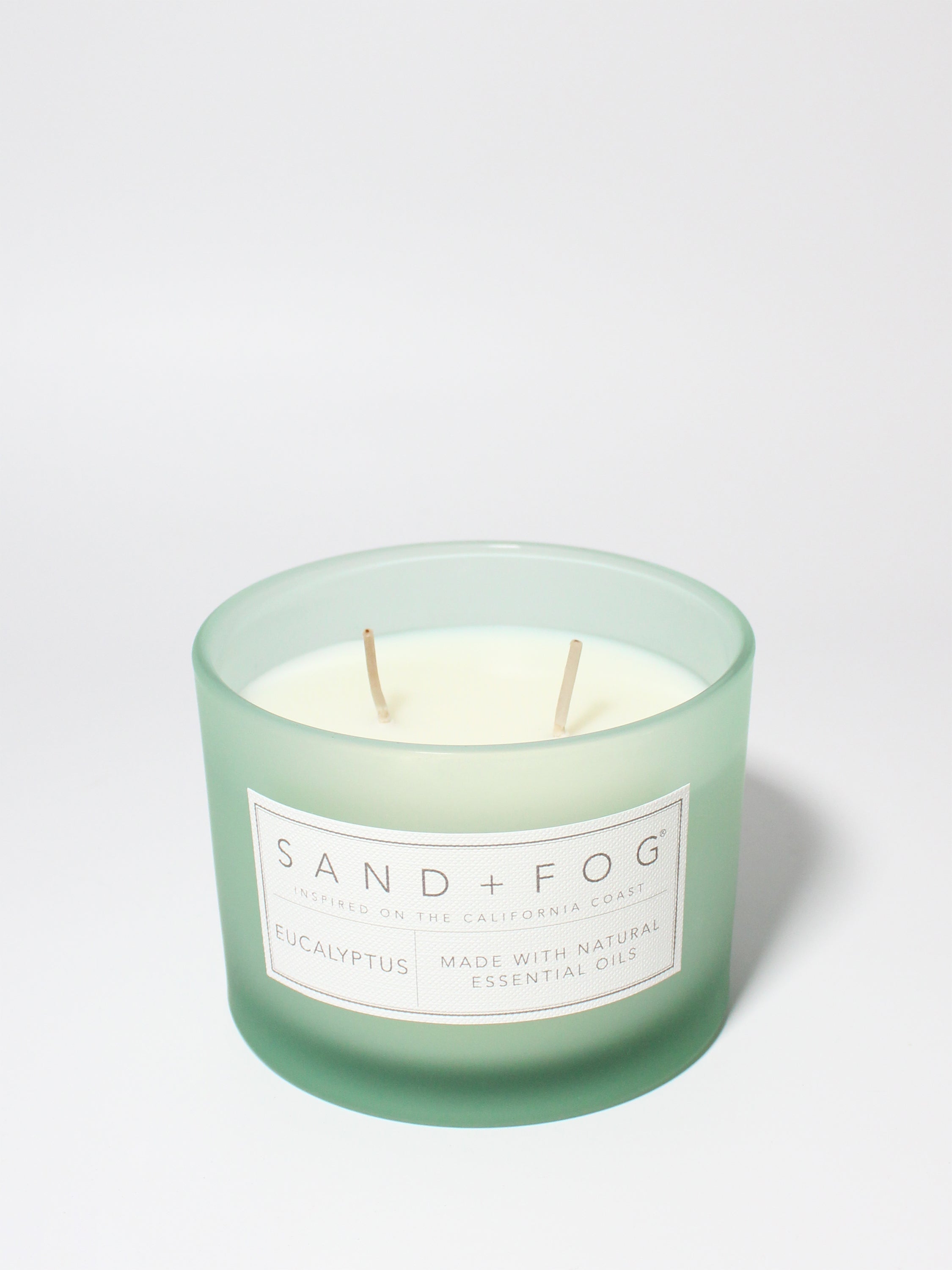Eucalyptus 12 oz scented candle | Shop Sand + Fog
