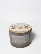 Sand + Paws Pumpkin Harvest 12 oz scented candle | Shop Sand + Paws