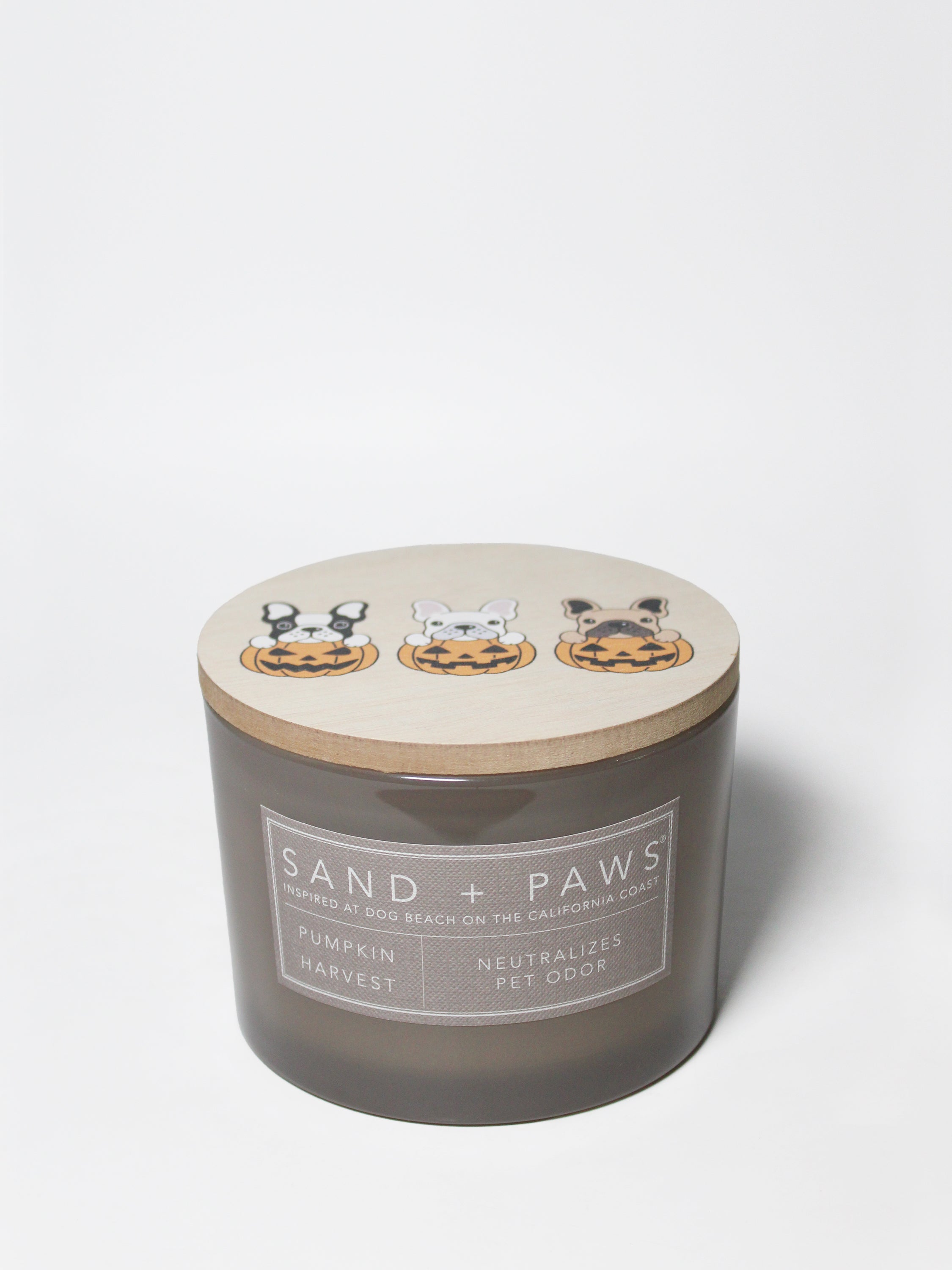 Sand + Paws Pumpkin Harvest 12 oz scented candle | Shop Sand + Paws