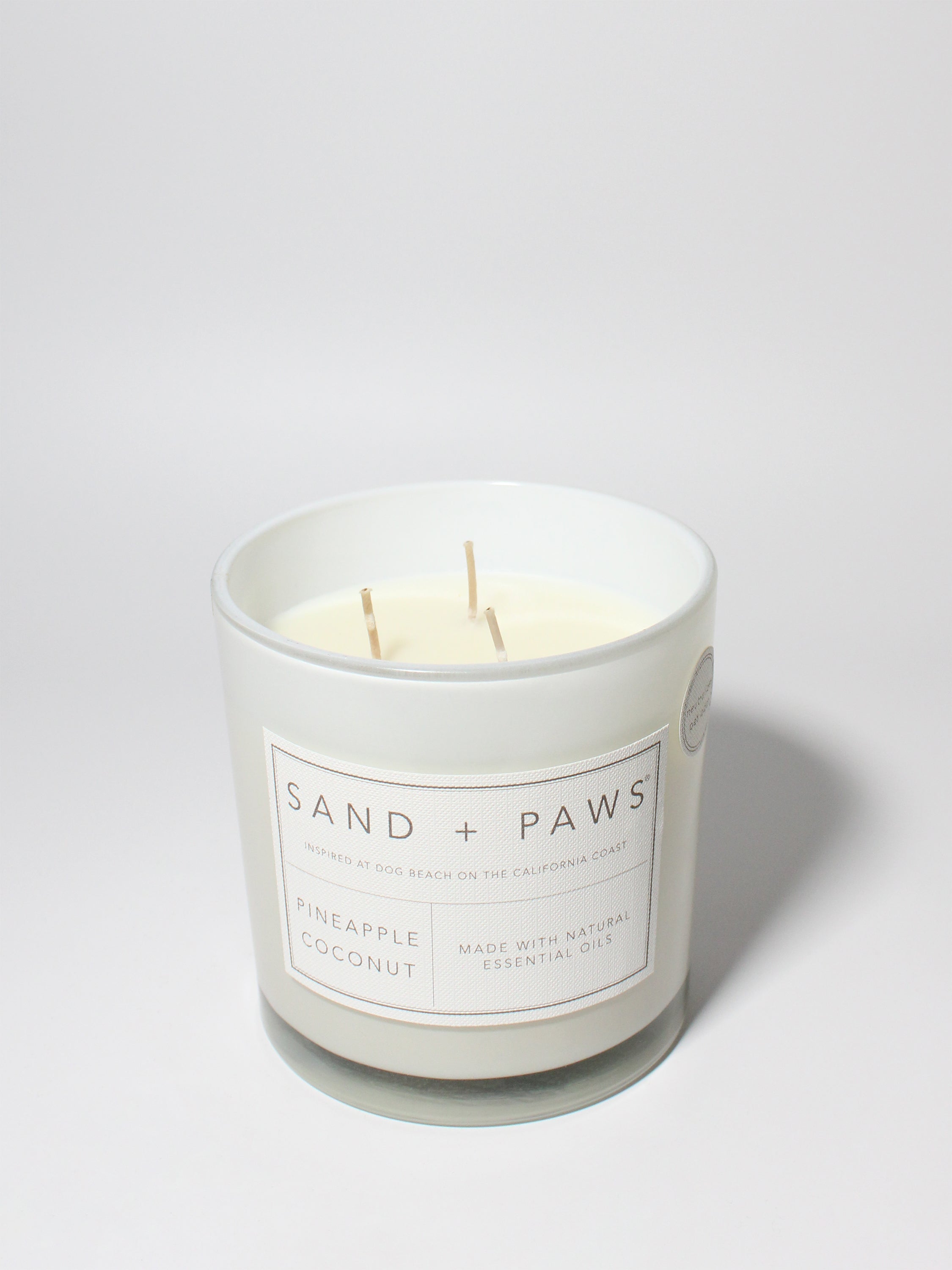 Sand + Paws Pineapple Coconut 21 oz scented candle | Shop Sand + Paws