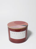 Sun-n-Fun 12 oz scented candle | Shop Sand + Fog