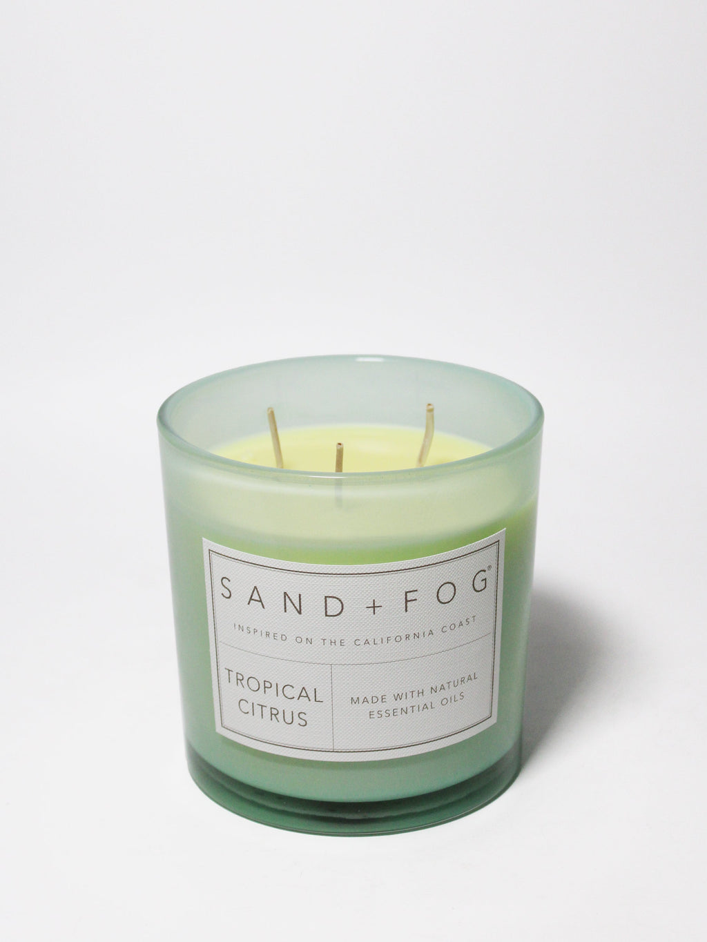 Tropical Citrus 21 oz scented candle | Shop Sand + Fog