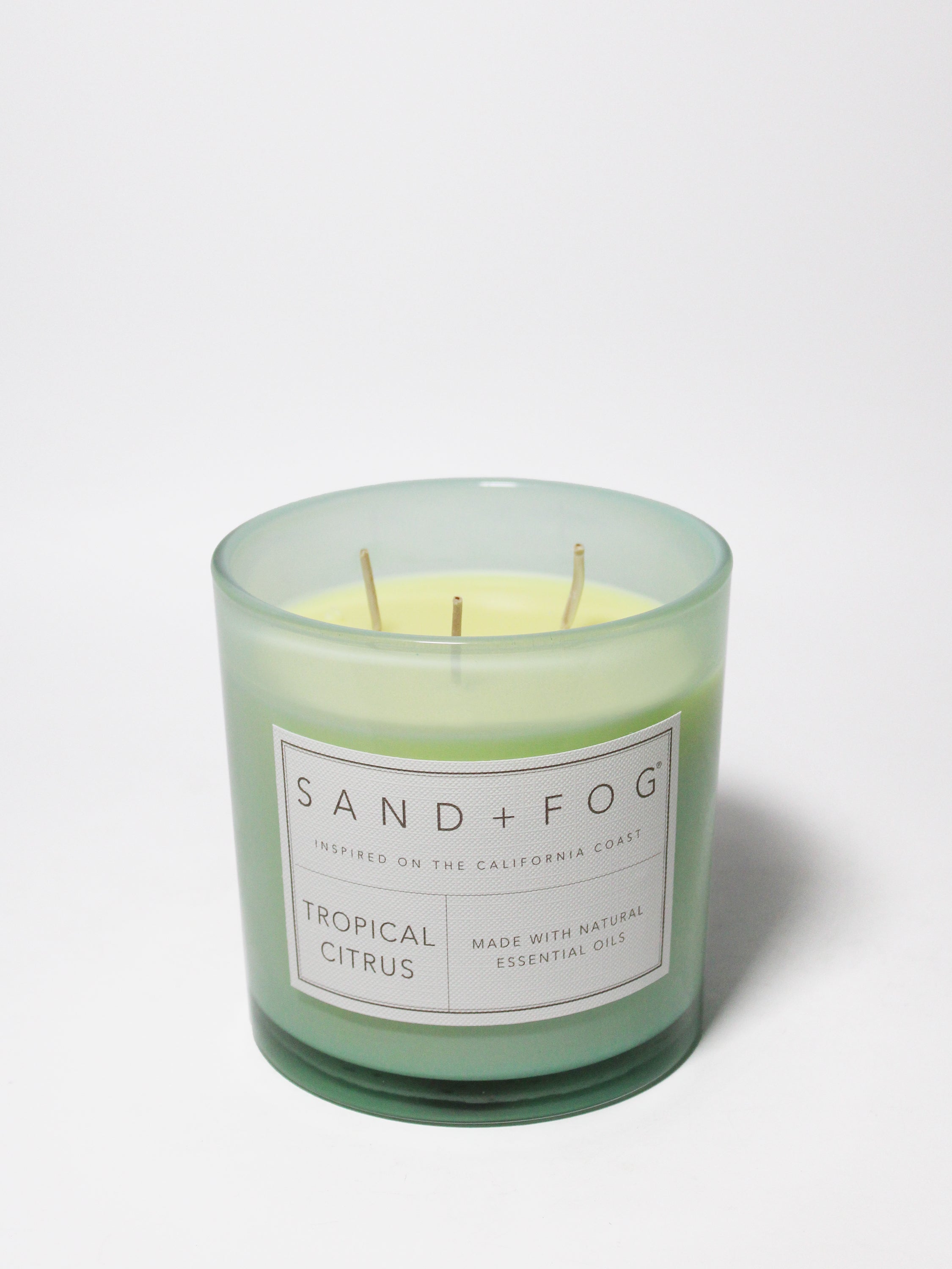 Tropical Citrus 21 oz scented candle | Shop Sand + Fog