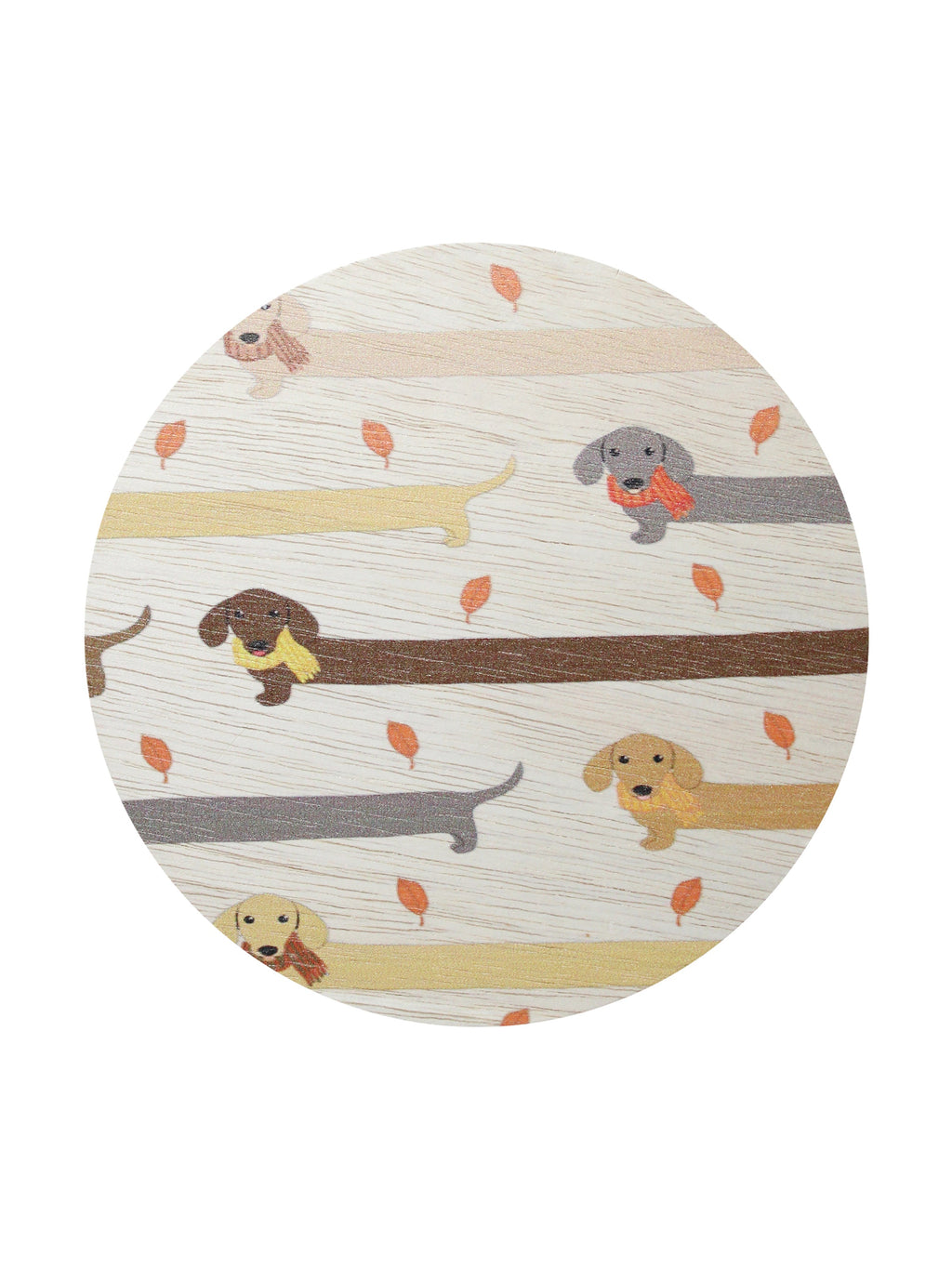 Sand + Paws Apple Cider 12 oz scented candle