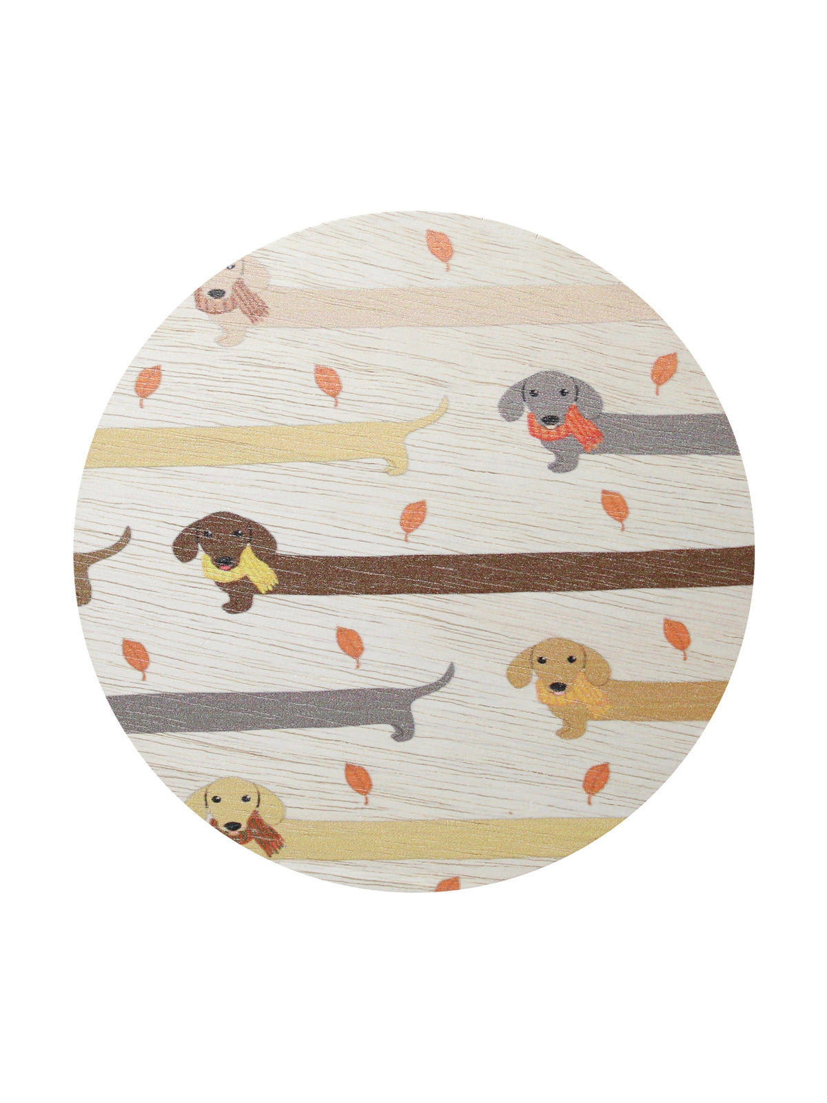 Sand + Paws Apple Cider 12 oz scented candle | Shop Sand + Paws