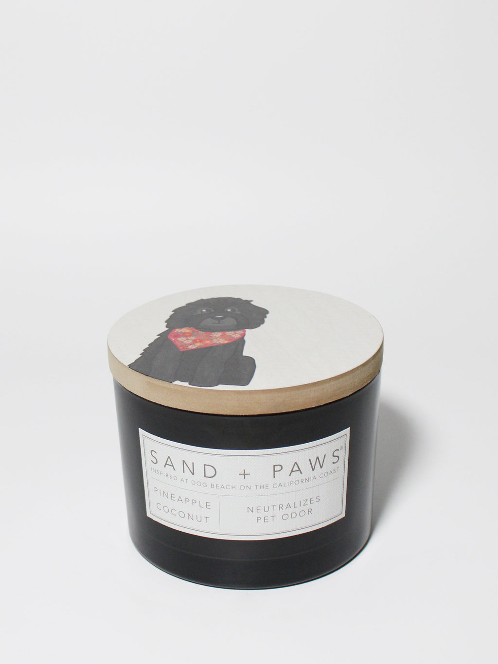 Sand + Paws Pineapple Coconut 12 oz scented candle | Shop Sand + Paws