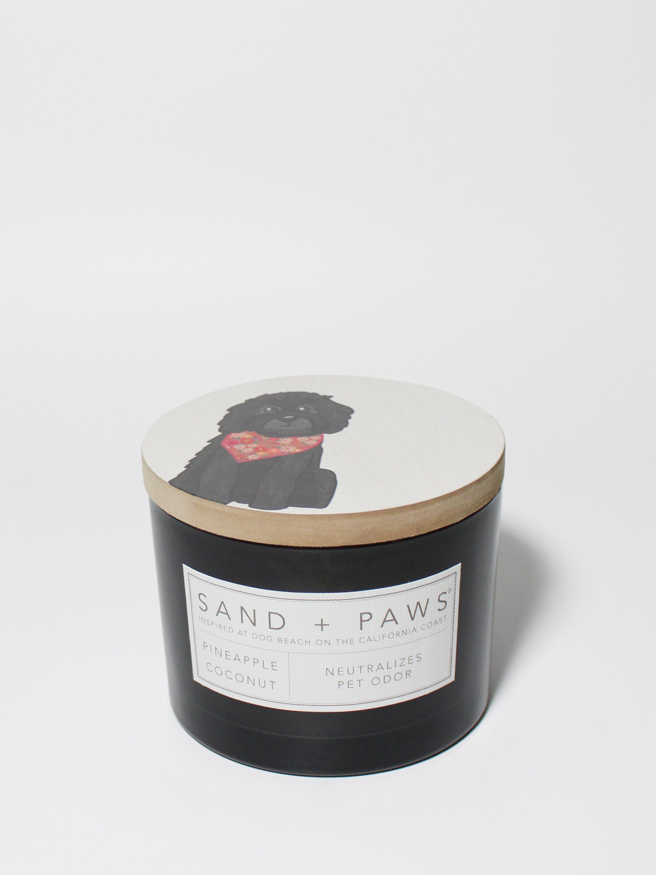 Sand + Paws Pineapple Coconut 12 oz scented candle | Shop Sand + Paws
