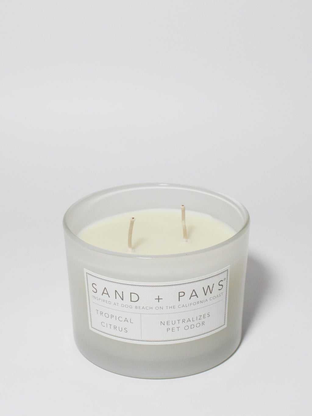 Sand + Paws Tropical Citrus 12 oz scented candle | Shop Sand + Paws