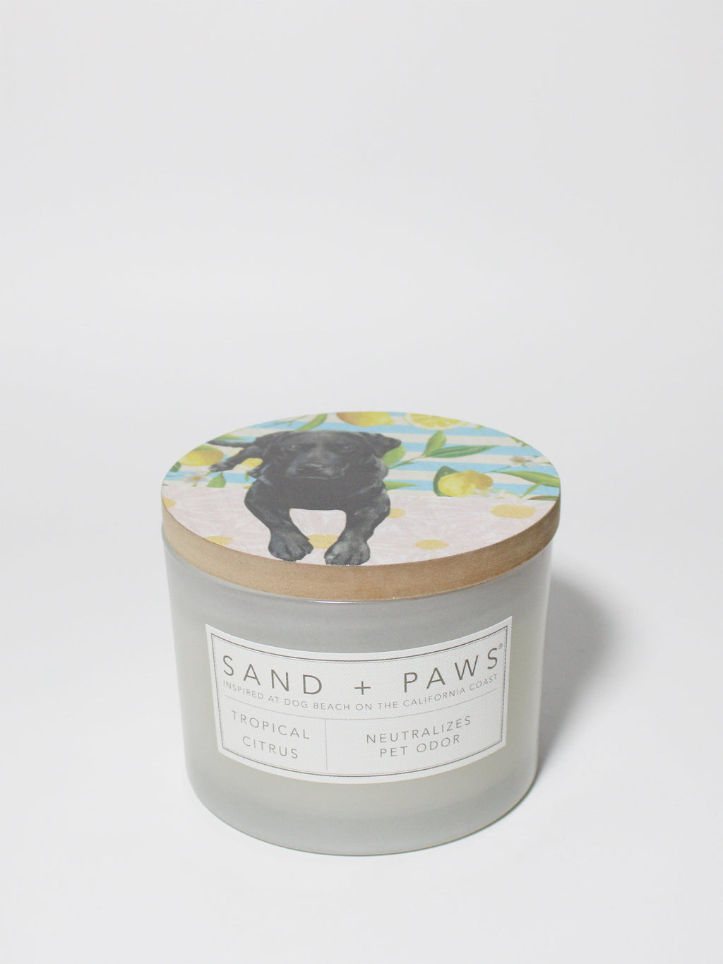 Sand + Paws Tropical Citrus 12 oz scented candle | Shop Sand + Paws