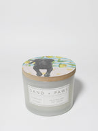Sand + Paws Tropical Citrus 12 oz scented candle | Shop Sand + Paws