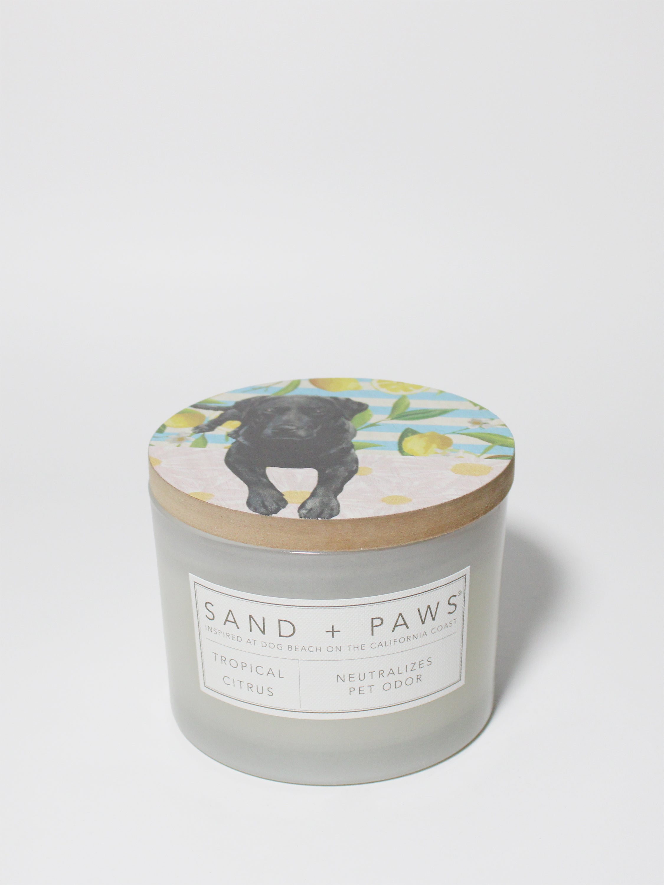 Sand + Paws Tropical Citrus 12 oz scented candle | Shop Sand + Paws