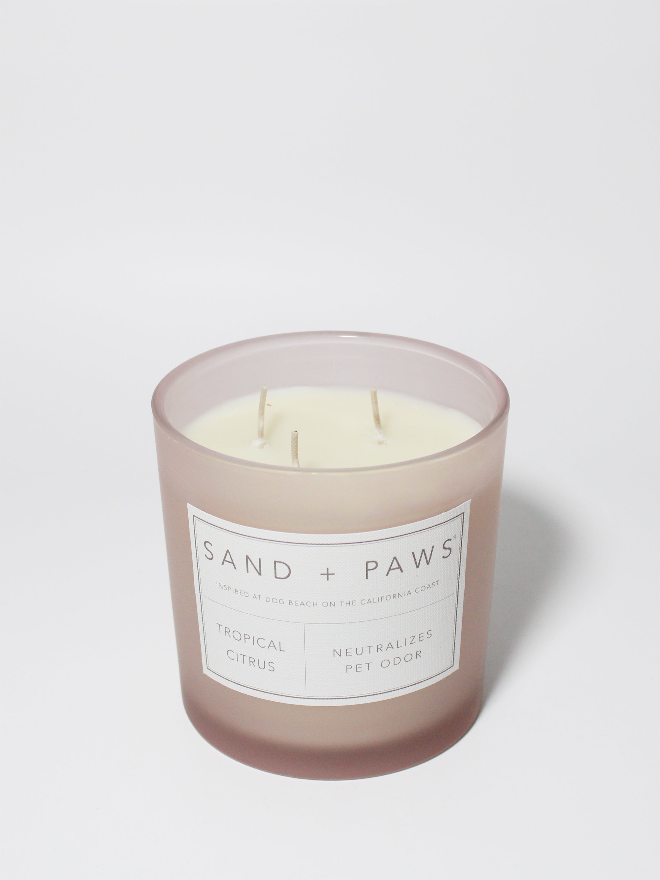 Sand + Paws Tropical Citrus 21 oz scented candle | Shop Sand + Paws