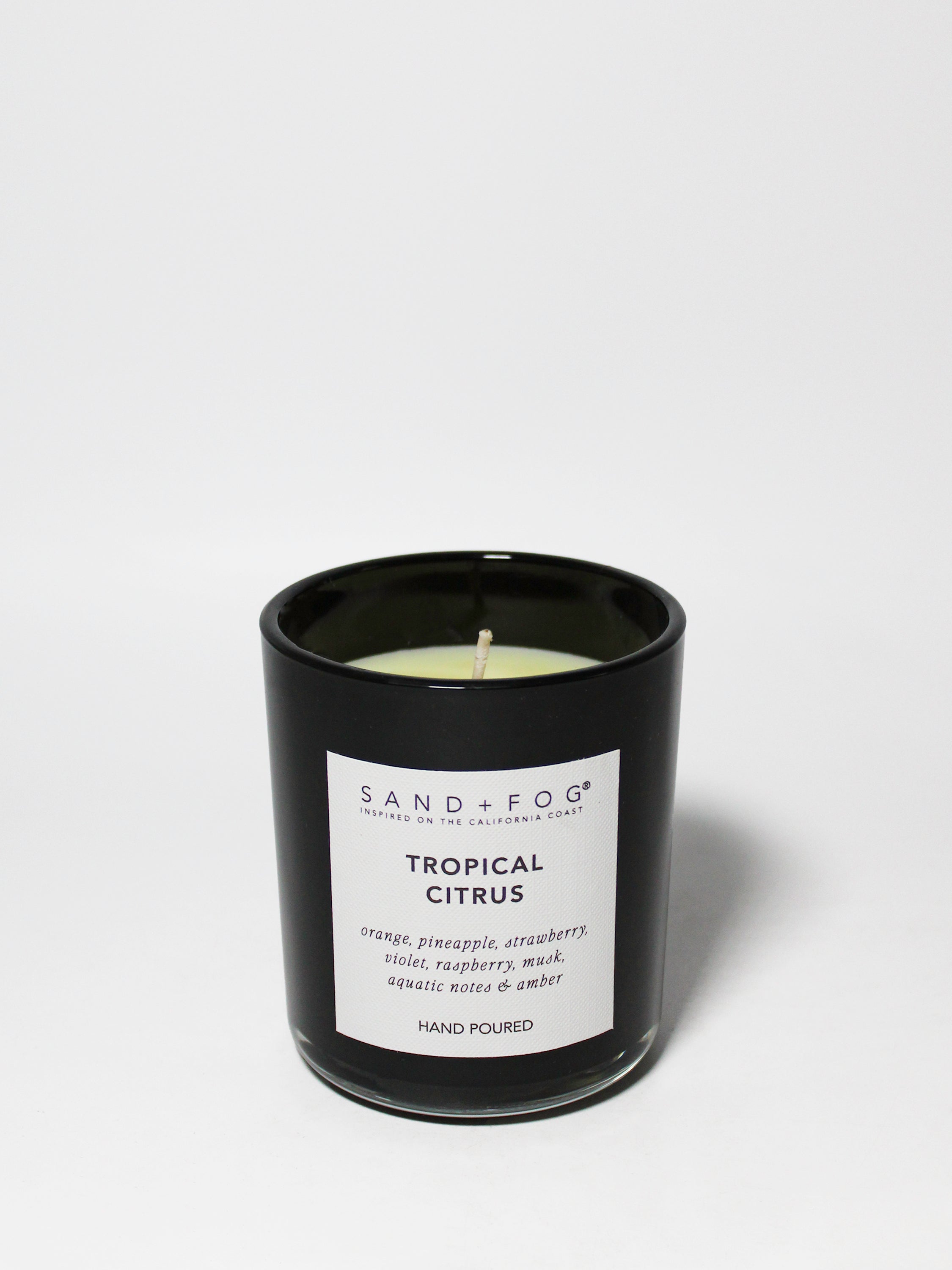 Tropical Citrus 10 oz scented candle | Shop Sand + Fog