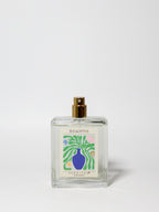 Eucalyptus 107 ml Room Spray | Shop Sand + Fog