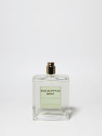 Eucalyptus Mint 107 ml Room Spray | Shop Sand + Fog