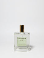 Eucalyptus Mint 107 ml Room Spray | Shop Sand + Fog