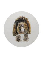 Sand + Paws Amber & Fig 12 oz scented candle