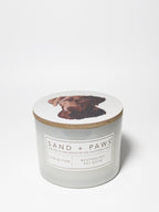 Sand + Paws Sun-n-Fun 12 oz scented candle | Shop Sand + Paws