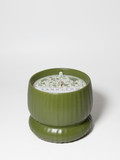 Olive & Lemon 10 oz scented candle | Shop Sand + Fog