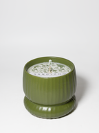 Olive & Lemon 10 oz scented candle | Shop Sand + Fog
