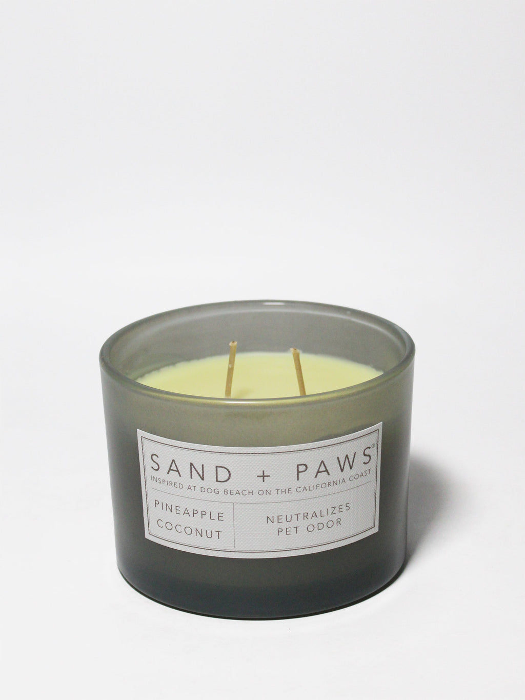 Sand + Paws Pineapple Coconut 12 oz scented candle | Shop Sand + Paws