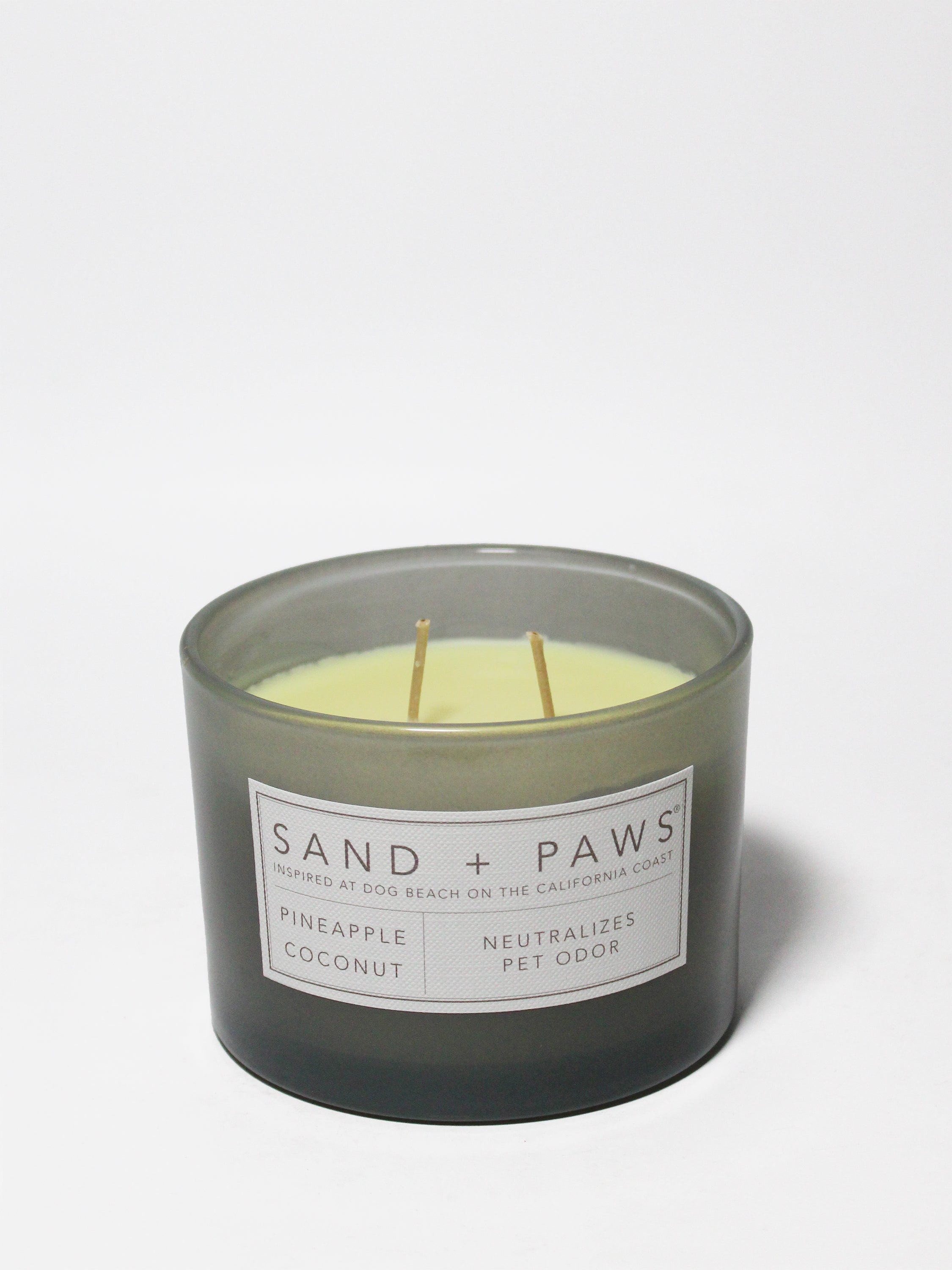 Sand + Paws Pineapple Coconut 12 oz scented candle | Shop Sand + Paws