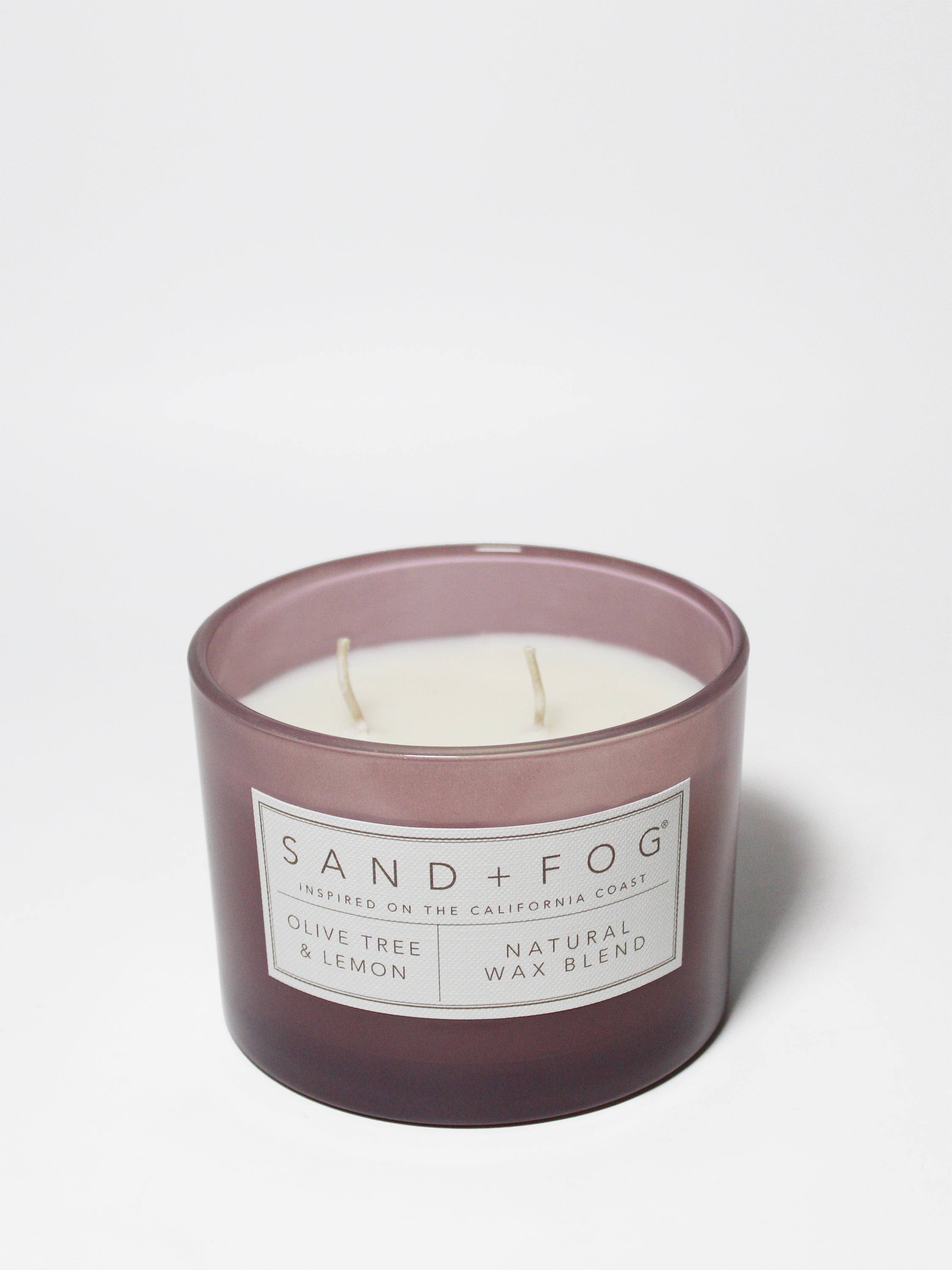 Olive Tree & Lemon 12 oz scented candle | Shop Sand + Fog