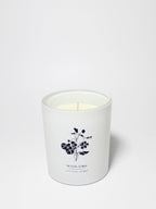 Tropical Citrus Natural Home 11.5 oz scented candle | Shop Natural Home