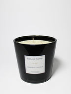 Tropical Citrus Natural Home 31 oz scented candle | Shop Natural Home