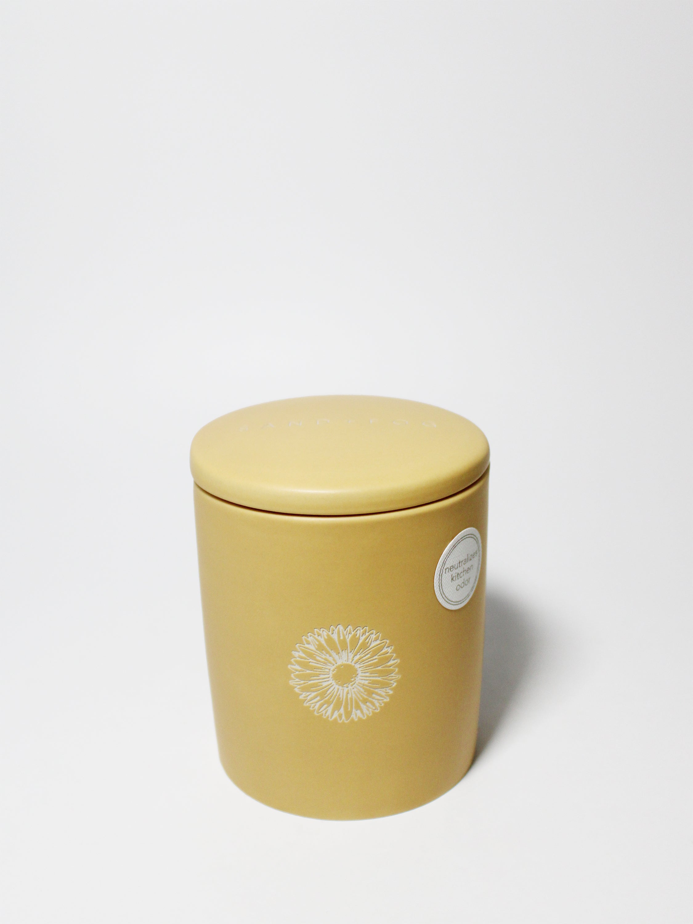 Sun Washed Citrus 12 oz scented candle | Shop Sand + Fog