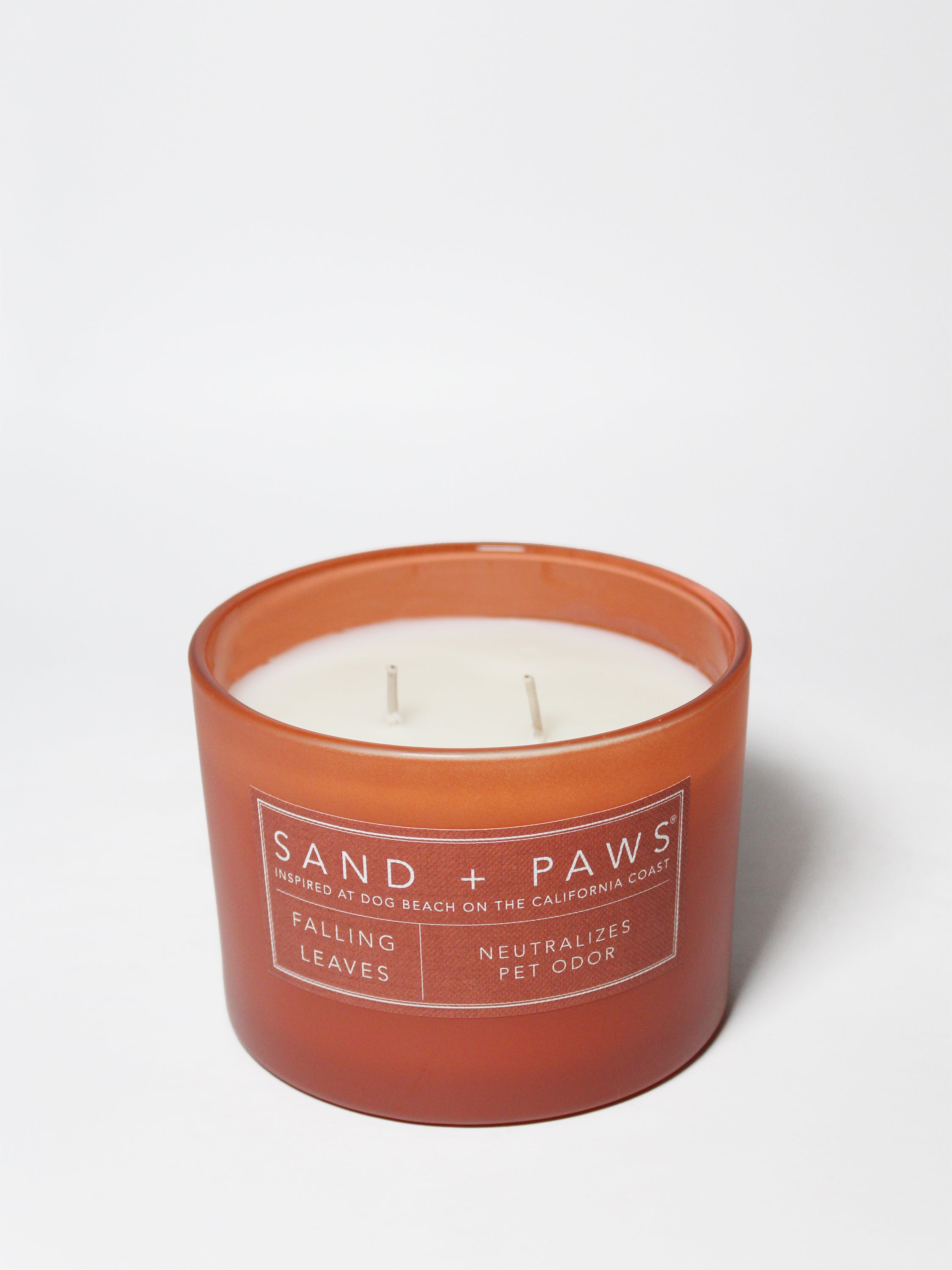 Sand + Paws Falling Leaves 12 oz scented candle | Shop Sand + Paws