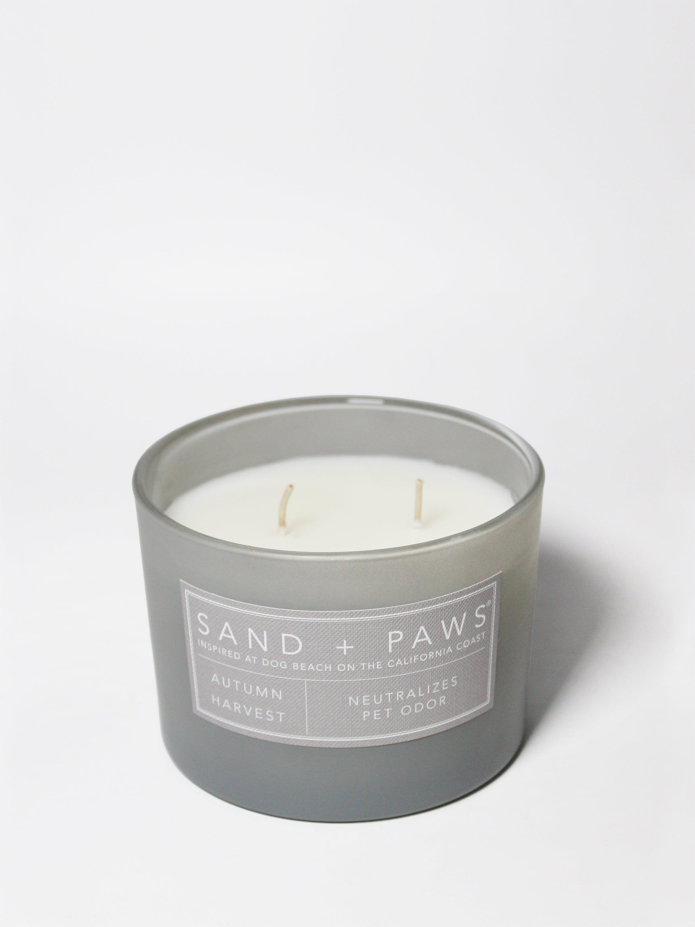 Sand + Paws Autumn Harvest 12 oz scented candle | Shop Sand + Paws