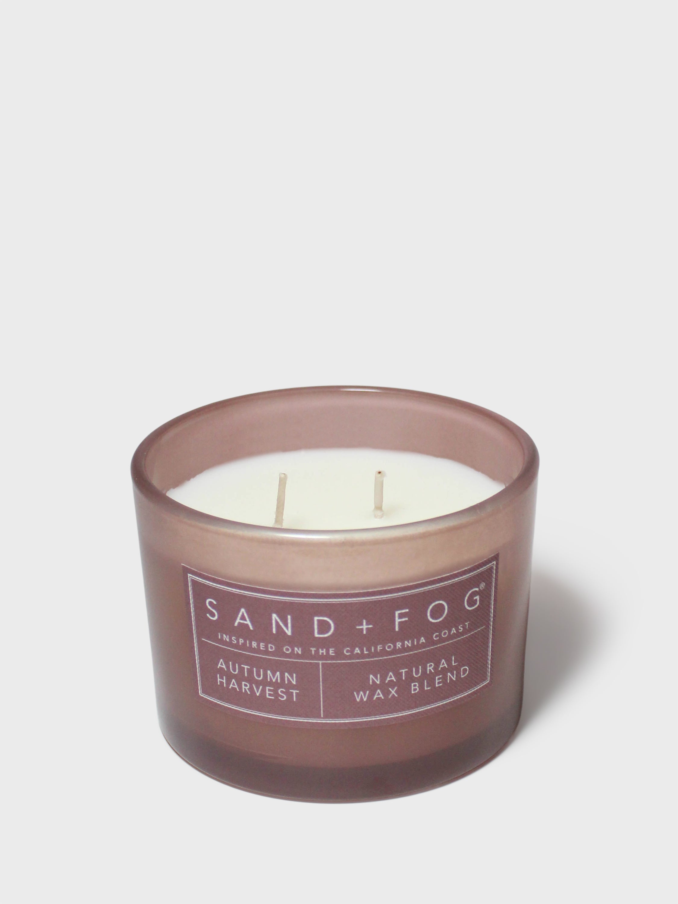 Autumn Harvest 12 oz scented candle | Shop Sand + Fog