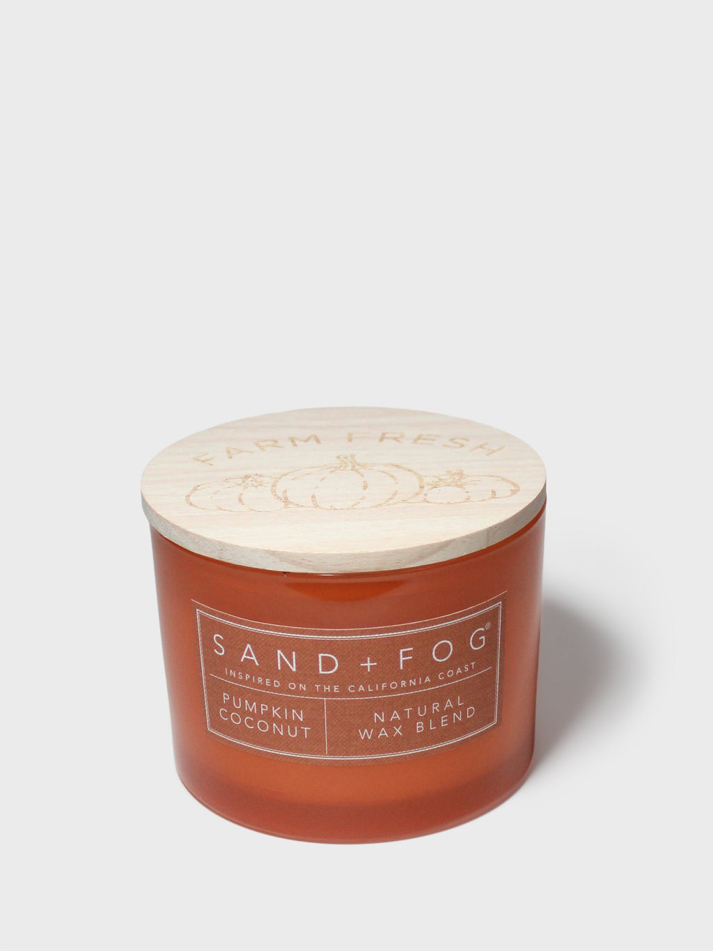 Pumpkin Coconut 12 oz scented candle | Shop Sand + Fog