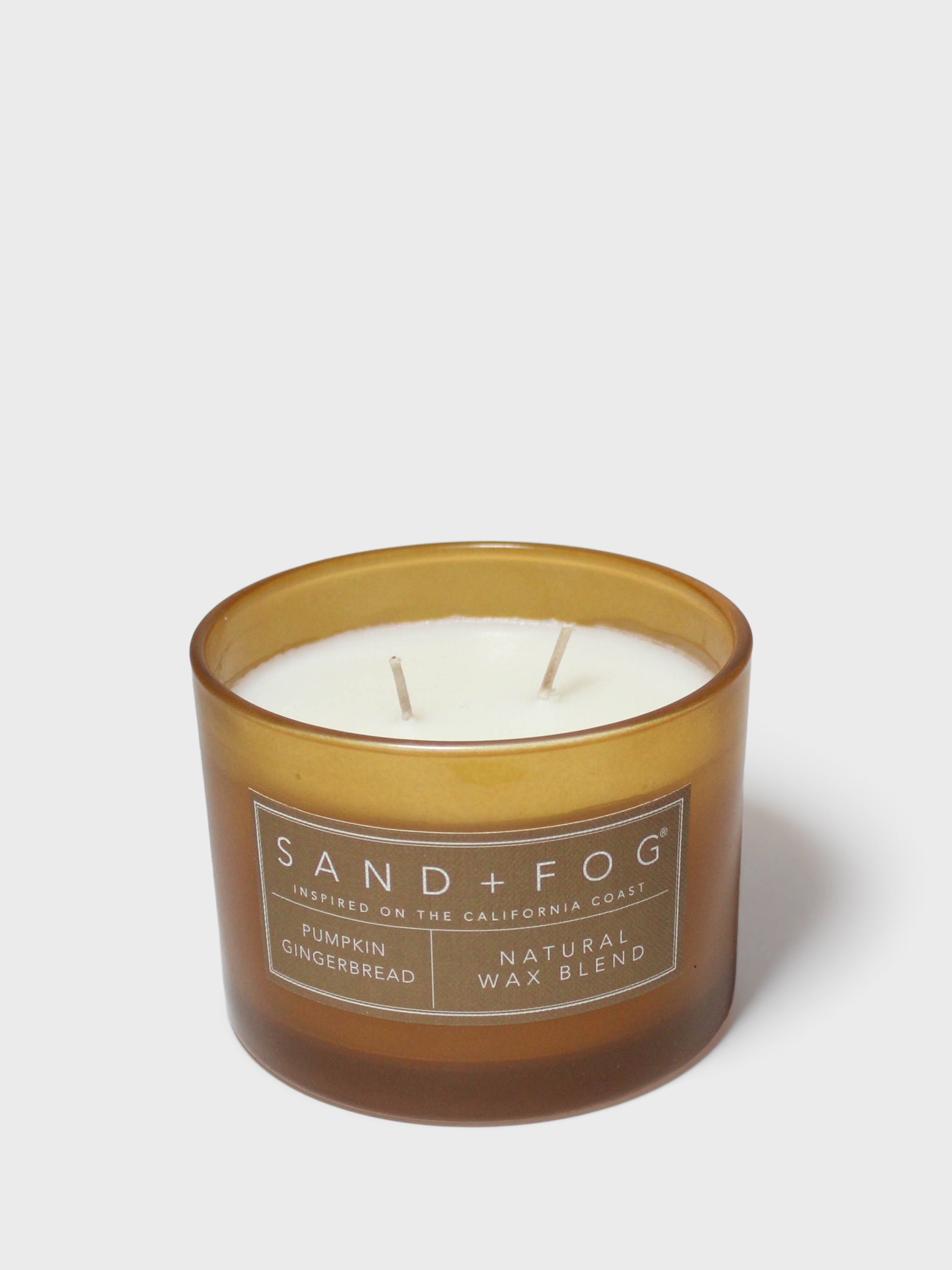 Pumpkin Gingerbread 12 oz scented candle | Shop Sand + Fog