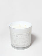 Whipped Vanilla Pumpkin 21 oz scented candle | Shop Sand + Fog