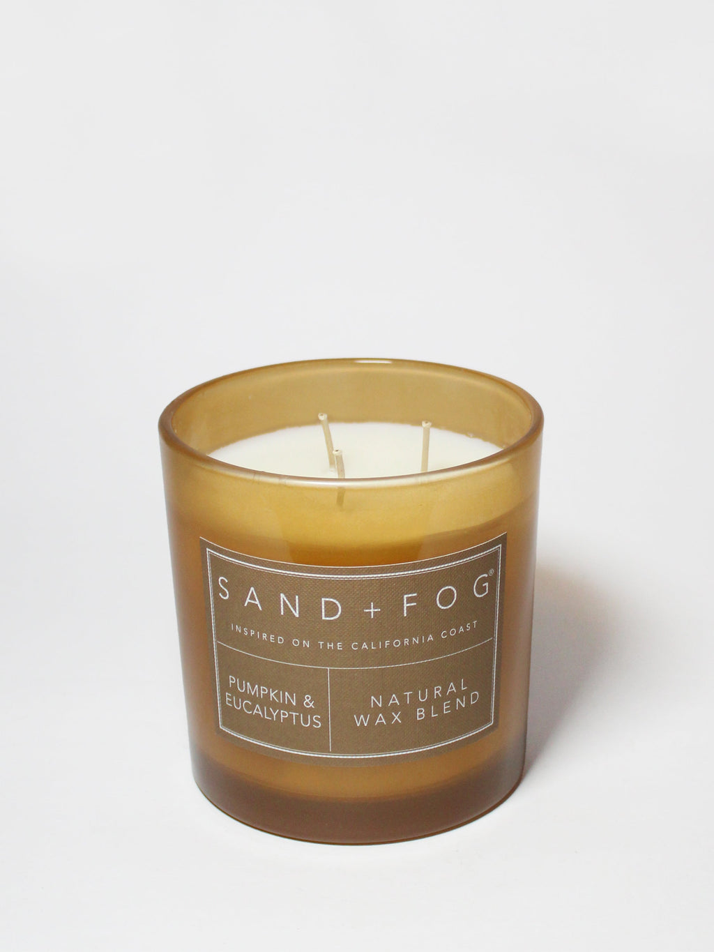 Pumpkin & Eucalyptus 21 oz scented candle | Shop Sand + Fog