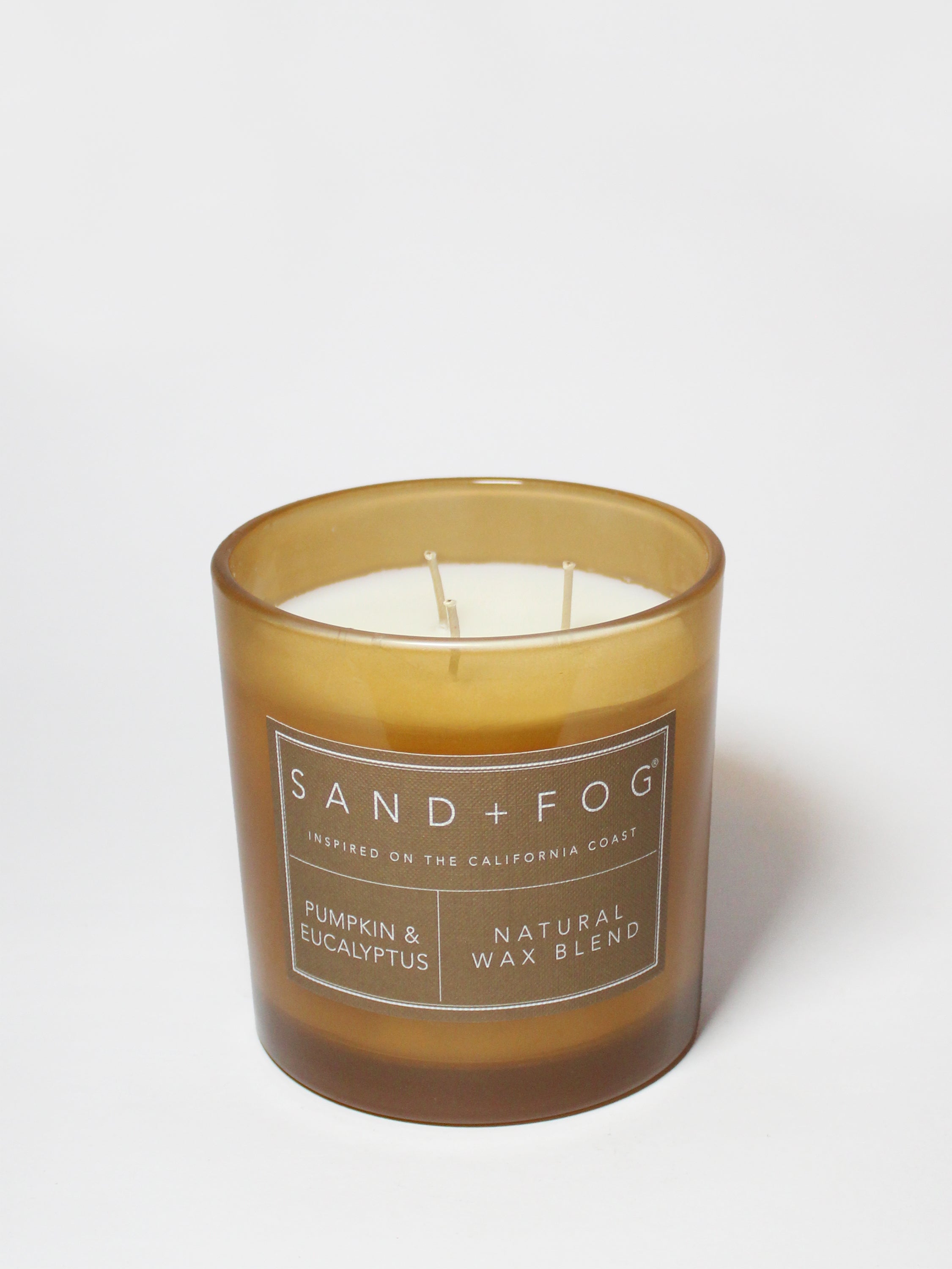 Pumpkin & Eucalyptus 21 oz scented candle | Shop Sand + Fog