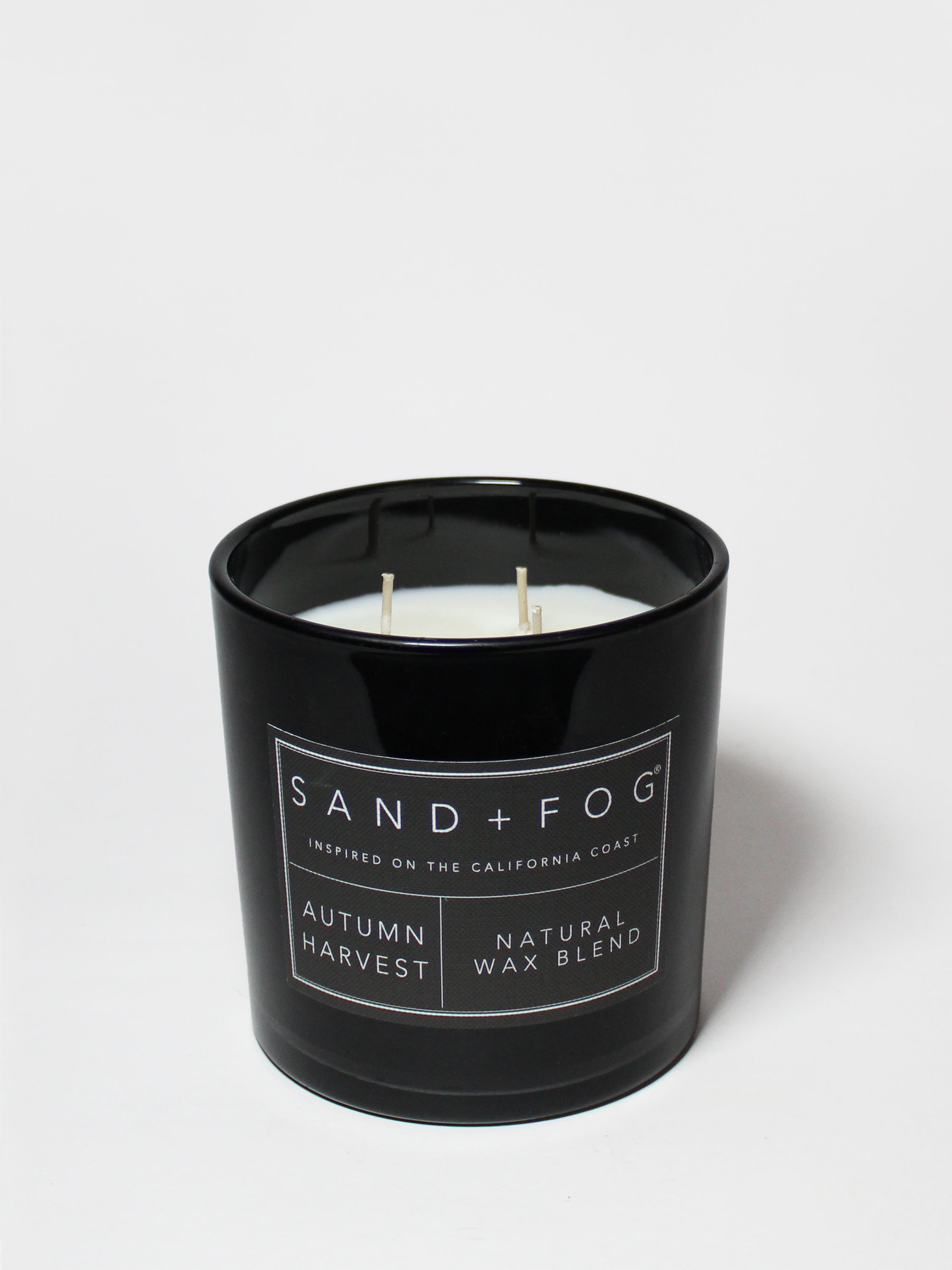 Autumn Harvest 21 oz scented candle | Shop Sand + Fog