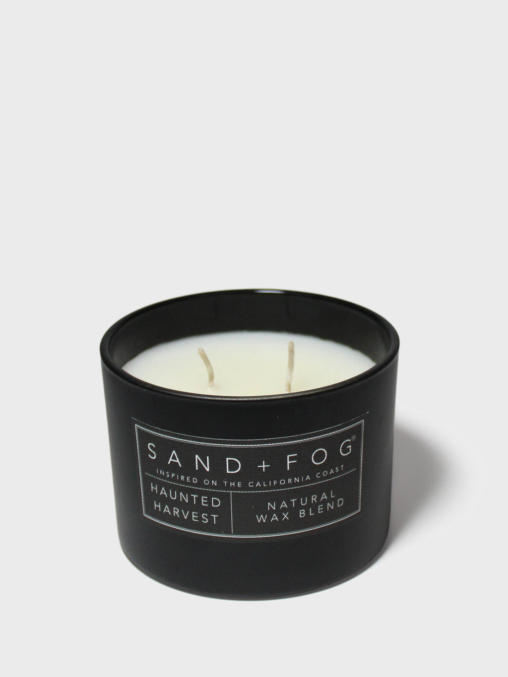 Haunted Harvest 12 oz scented candle | Shop Sand + Fog