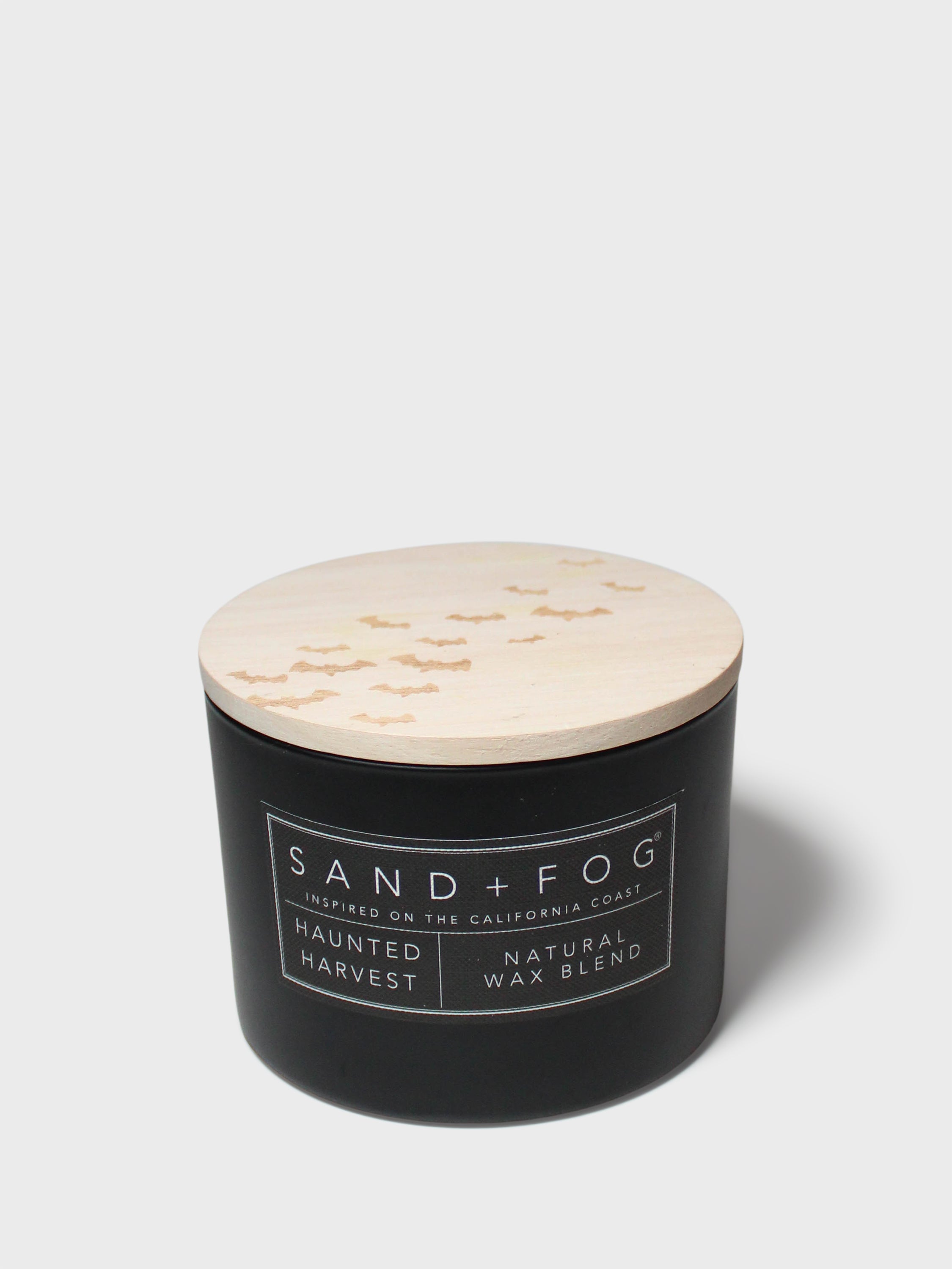 Haunted Harvest 12 oz scented candle | Shop Sand + Fog