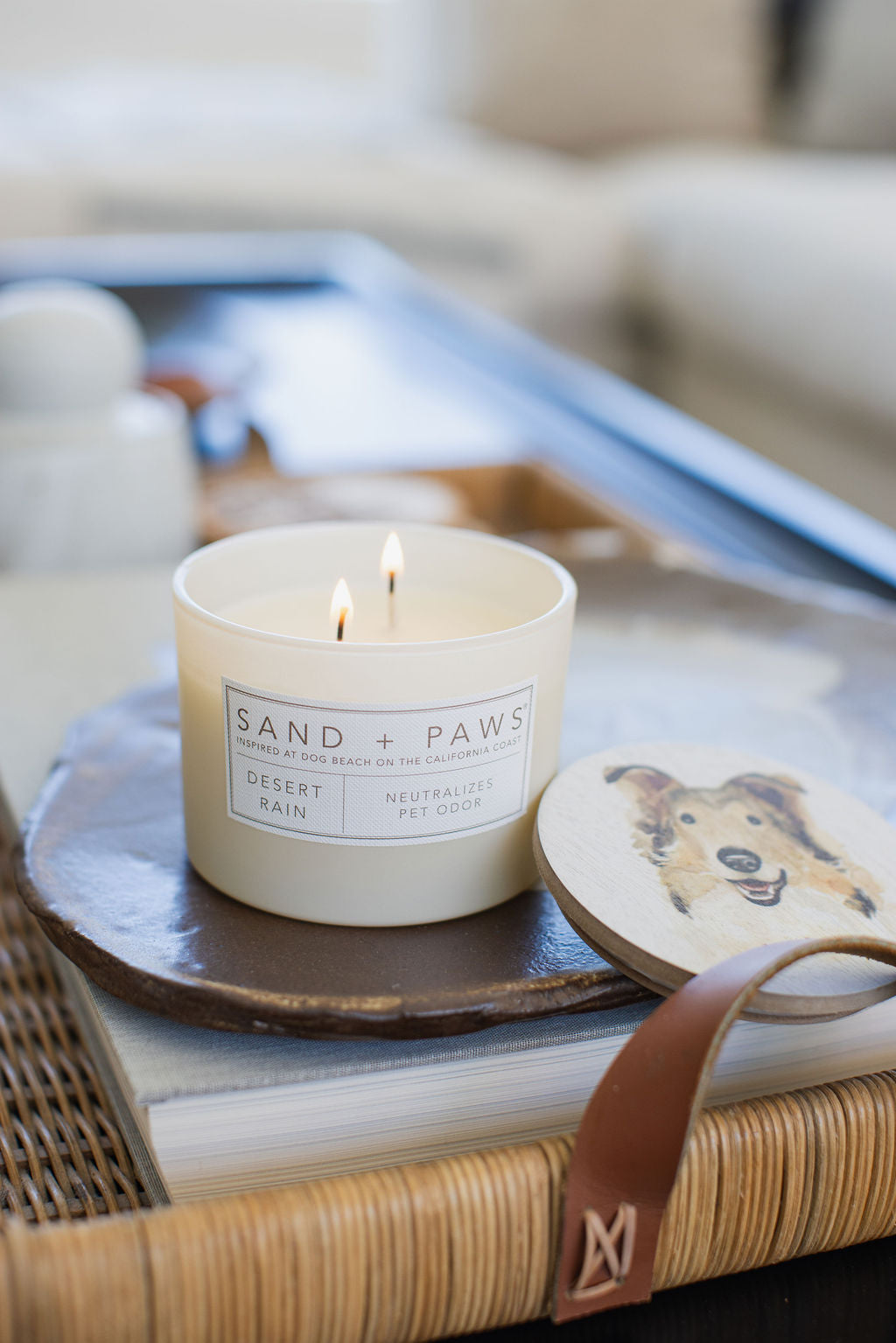 Sand + Paws Desert Rain 12 oz scented candle | Shop Sand + Paws