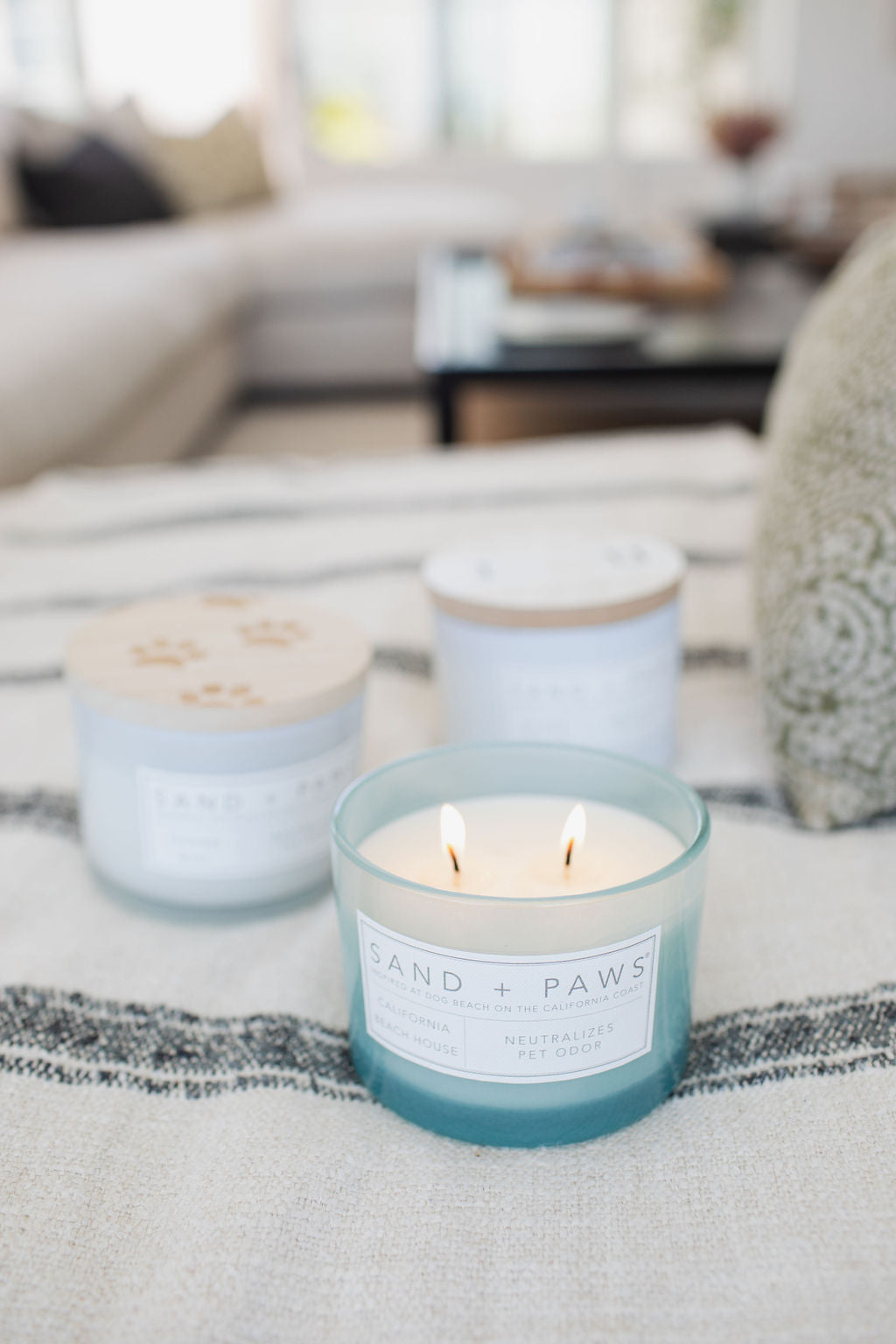 Sand + Paws California Beach House 12 oz scented candle | Shop Sand + Paws
