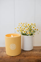 Sun Washed Citrus 12 oz scented candle | Shop Sand + Fog