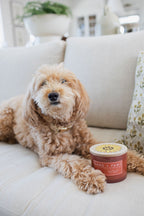 Sand + Paws Apple Spice 12 oz scented candle