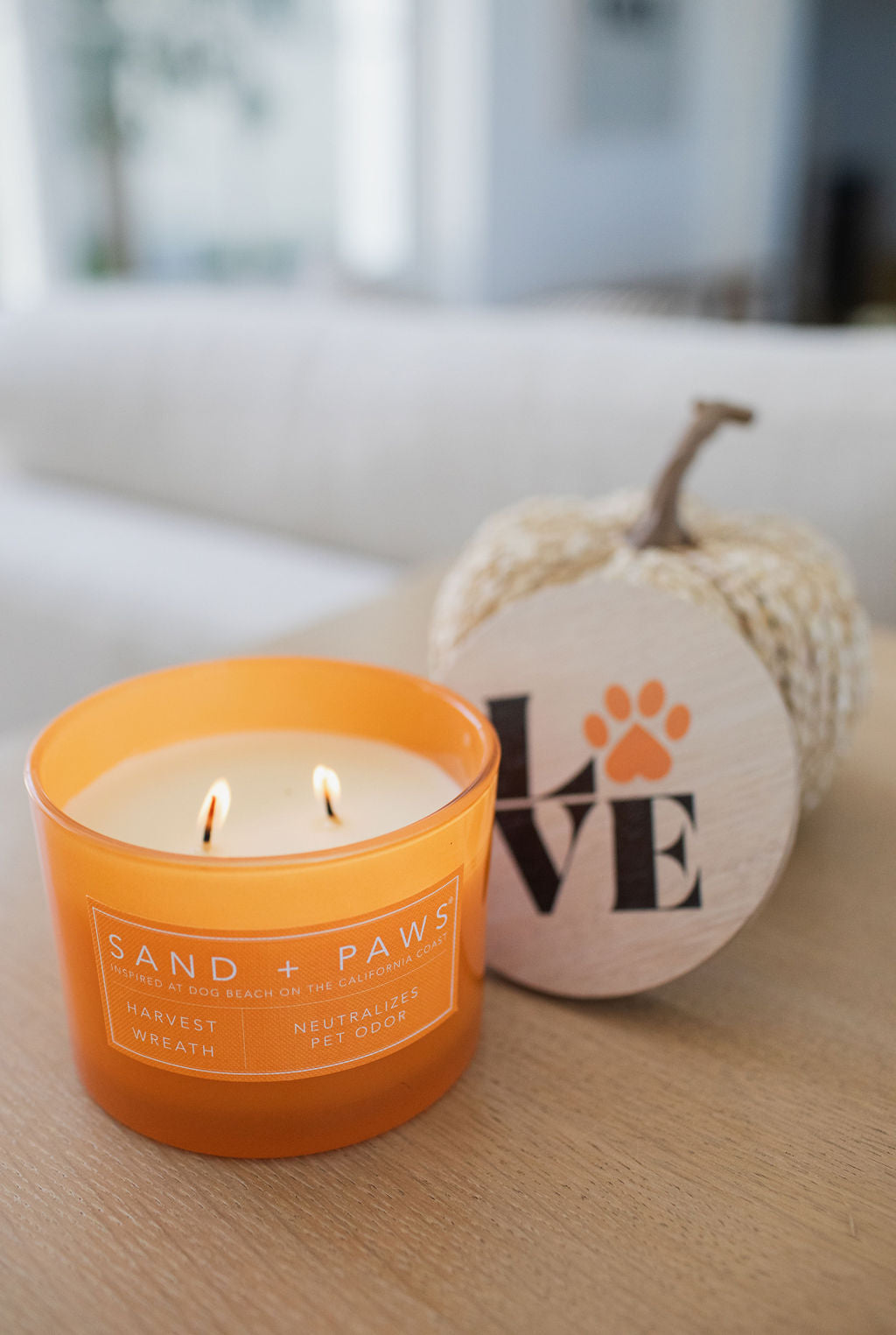 Sand + Paws Harvest Wreath 12 oz scented candle | Shop Sand + Paws