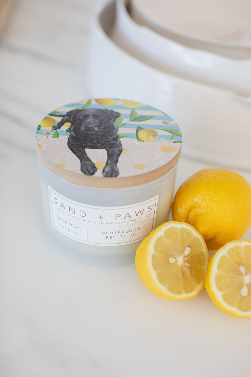 Sand + Paws Tropical Citrus 12 oz scented candle | Shop Sand + Paws