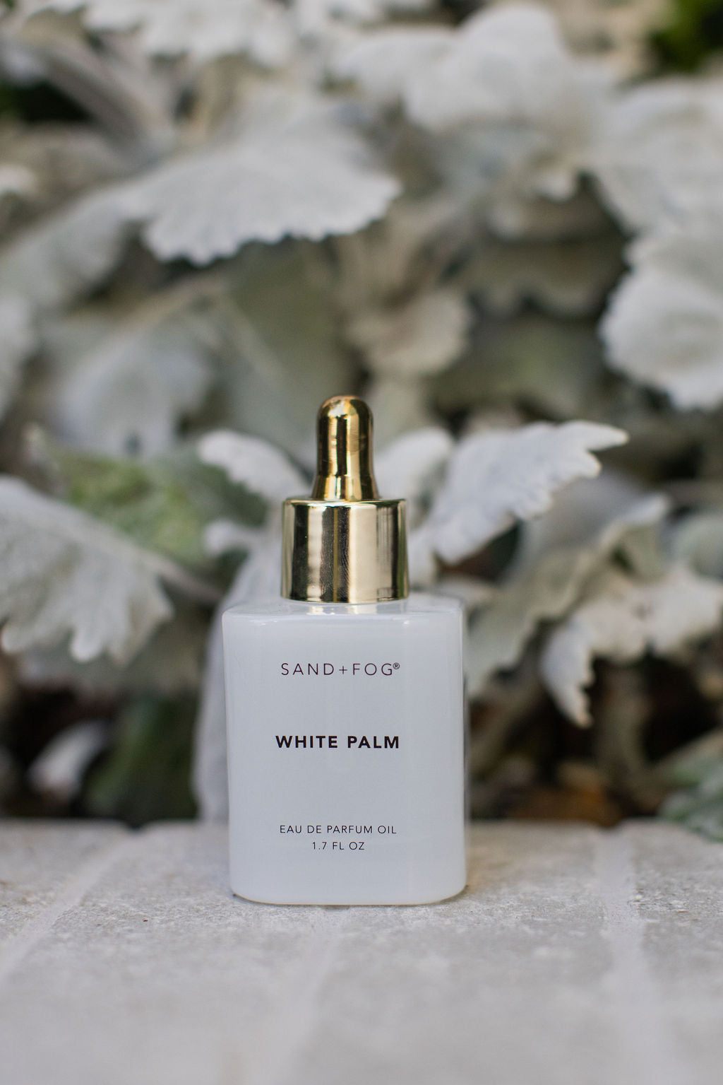 White Palm 50 ml Perfume Oil Dropper | Shop Sand + Fog